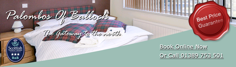 Welcome to Palombos of Balloch