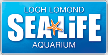 Visit Sealife Aqurium